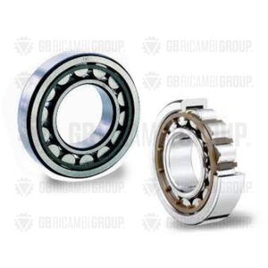 Cuscinetto a rulli cilindrici adattabile Fiat - New Holland Cod. 5125824